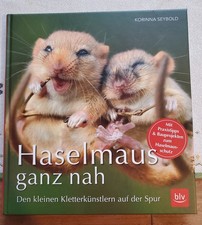 Haselmaus ganz nah | Den