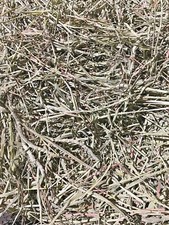 Fox Peak Timothy Hay Rabbits