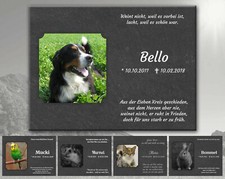 Tiergrabstein / Gedenktafel /