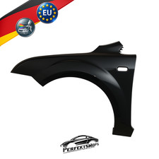 Kotflügel Ford Focus MK2