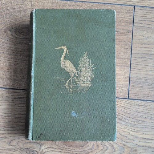Fisher rod and river - ,