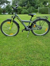 Sport Fahrrad Pegasus Avanti