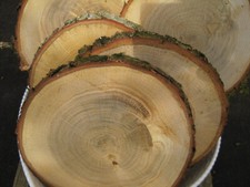 5 x Holzscheiben  Baumscheiben Eiche Rustikal Hochzeit Tischdeko basteln