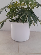 Übertopf Weiß Tropfkante Bodenvase