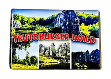 TEUTOBURGER WALD  SOUVENIR- TEUTOBURGER WALD  KÜHLSCHRANKMAGNET-260124