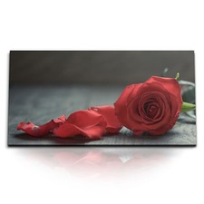 120x80cm Kunstdruck Bilder