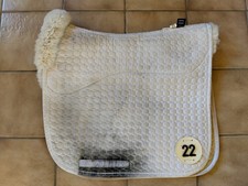 Matthes Schabracke, Dressur 