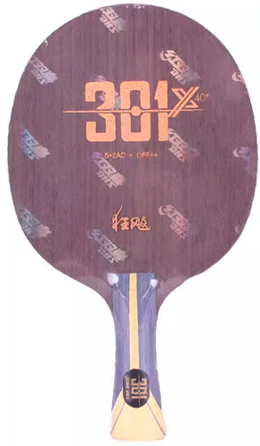 Dhs hurricane 301x - dhs,