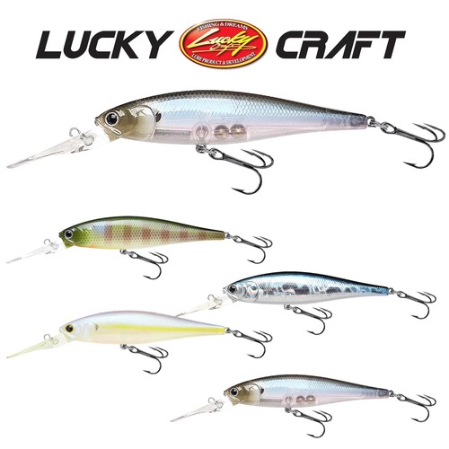 Lucky craft pointer - lucky,