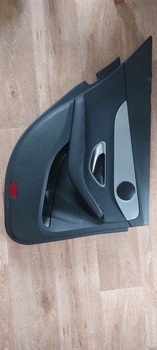 Türverkleidung hinten links
