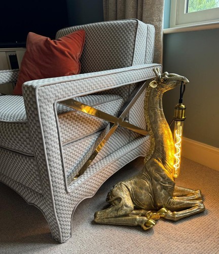 Sitzende giraffe große - giraffe,