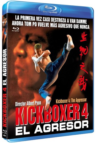 Kickboxer el agresor - kickboxer,