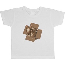 "Box of Kittens" Kinder /