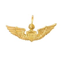 14k Gelbgold US Air Force