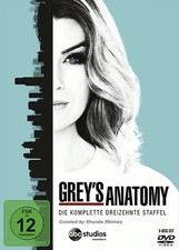 Grey's Anatomy: Die jungen Ärzte - Die komplette 13. Staffel [6 DVDs]