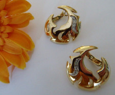 Pierre Lang schöne Ohrringe