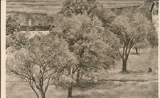 Künstlerkarte Eysen Obstwiese NICHT GELAUFEN