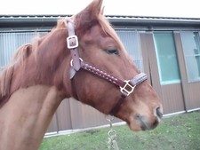 Exklusives leder halfter - leder,