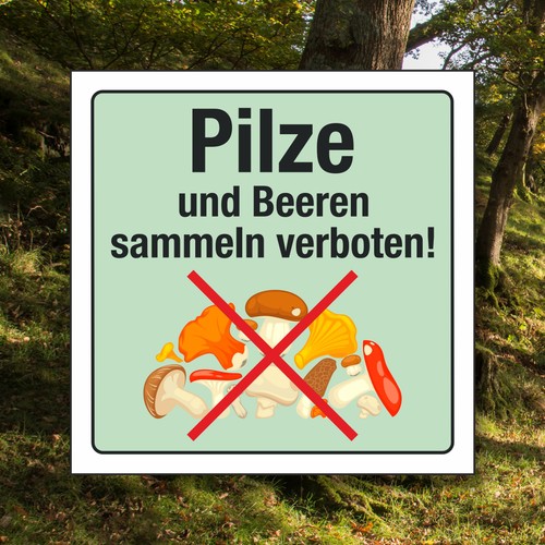 Schild pilze beeren sammeln - pilze,