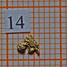 Goldnuggets aus Alaska