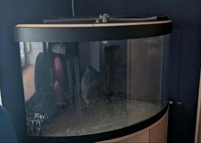 Eckaquarium mit Unterschrank und Filter