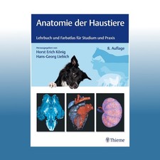 Anatomie der haustiere - haustiere, horst