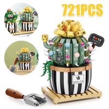 Mini Kaktus Bonsai Baustein