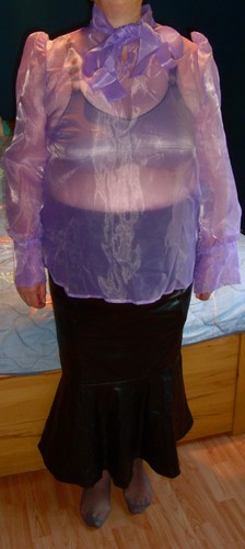 Sheer glanz bluse - sheer,