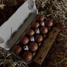 Bruteier Marans 10 Stück