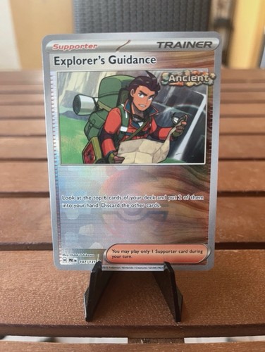 Nintendo explorer guidance - nintendo, explorer's