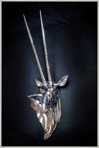 Antilope kopf geweih - xl, kopf/geweih
