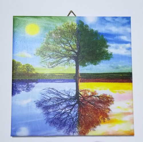 Dekofliese wandbild bildfliese - dekofliese,