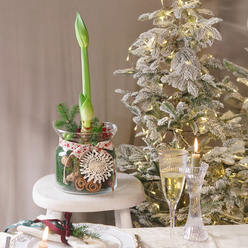 Deko glas vase windlicht klar - deko,