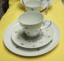 Rosenthal Romanze bunt