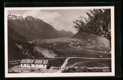 Ansichtskarte odda panorama - odda,,