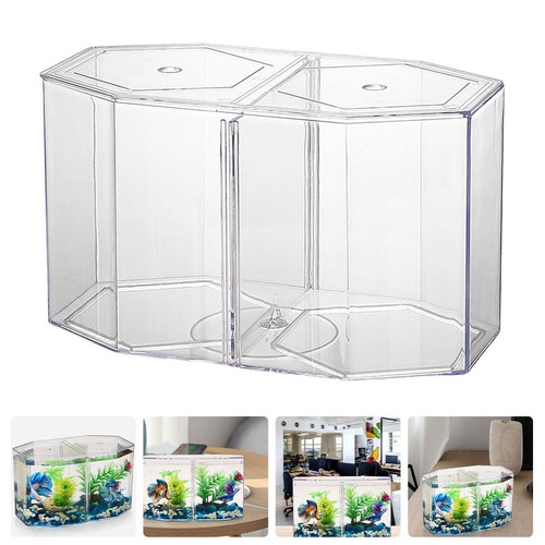 Fisch aufzuchtbecken - fisch,