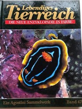 📚 Lebendiges Tierreich *