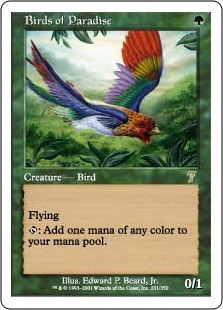 Magic mtg paradiesvögel - mtg,
