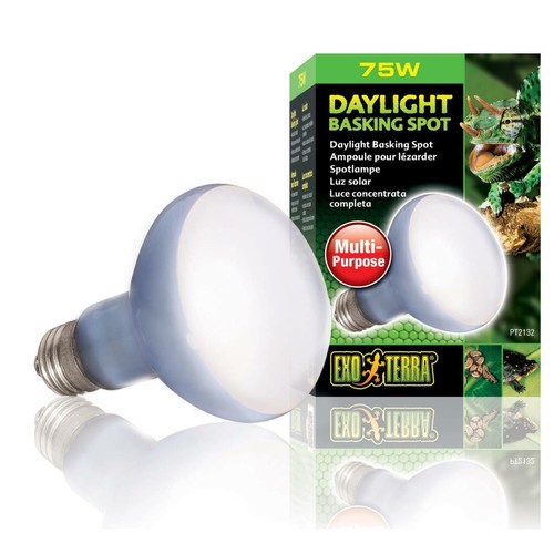 Daylight basking spot watt - spot, 75