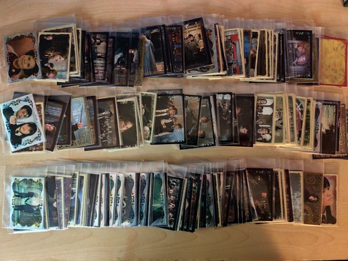 Panini harry potter orden - potter,