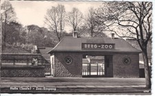 AK Halle/Saale  Berg-Zoo