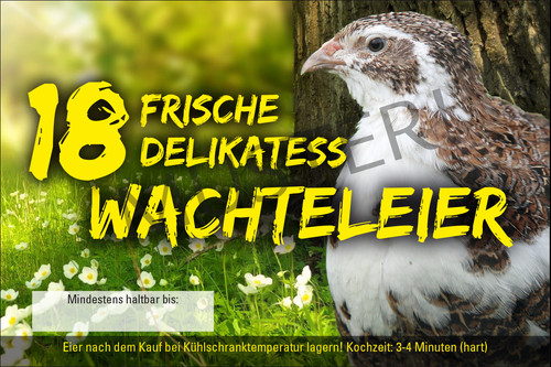 Rechteckige etiketten 18er - rechteckige,