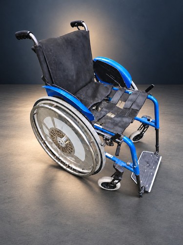 Pro activ traveller - pro,