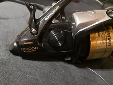 freilaufrolle karpfen