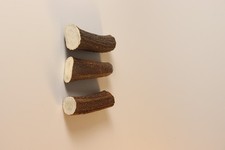 Hirschhornstück horn - hirschhornstück,