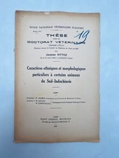 Ethnische und morphologische