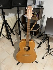 Takamine F 470 SS