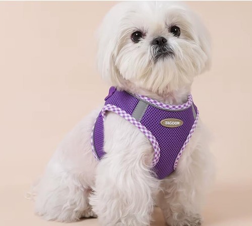 Hundegeschirr mit leine - ,