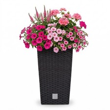 Blumentopf mit einsatz - mit,
