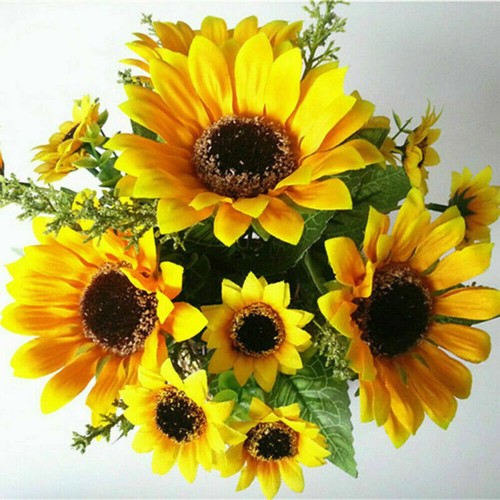 Pfe sonnenblumen - 13, k?pfe